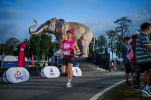 BIB: 
                            <button type="button" onclick="openModal(26541861)" class="btn btn-primary btn-sm float-right btn-popup" data-toggle="modal" data-target=".modal-high-quality">
                        <i class="fas fa-shopping-cart"></i> Add to Cart
                    </button>
                                            <button type="button" onclick="isThisMe(26541861, true)" class="btn btn-success btn-sm float-right btn-popup btn-isme hidden" data-toggle="tooltip" data-placement="bottom" title="นี่คือรูปของคุณใช่ไหม คลิกที่นี่เพื่อเอาเข้าอัลบั้ม">
                        <i class="fas fa-plus"></i> Add to album
                    </button>
                    <button type="button" onclick="isThisMe(26541861, false)" class="btn btn-warning btn-sm float-right btn-popup btn-isnotme hidden">
                        <i class="fas fa-ban"></i> Remove from album
                    </button>